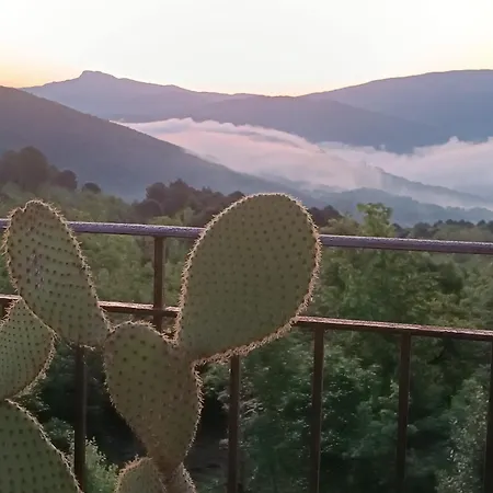 Rustico Toscano Castel Focognano